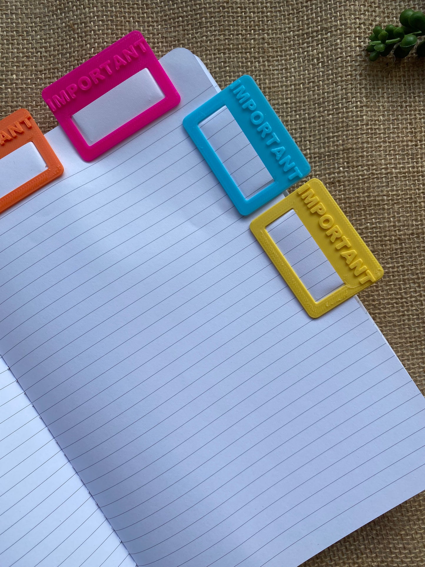 Important Tabs